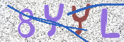 CAPTCHA 驗證圖片