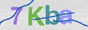 CAPTCHA 驗證圖片