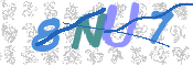 CAPTCHA 驗證圖片