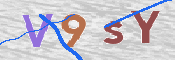 CAPTCHA 驗證圖片