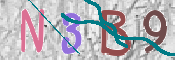 CAPTCHA 驗證圖片