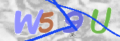 CAPTCHA 驗證圖片