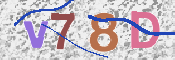 CAPTCHA 驗證圖片