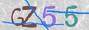 CAPTCHA 驗證圖片