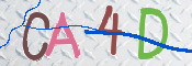 CAPTCHA 驗證圖片