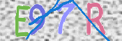 CAPTCHA 驗證圖片