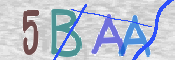 CAPTCHA 驗證圖片