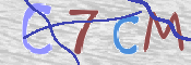 CAPTCHA 驗證圖片