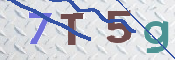 CAPTCHA 驗證圖片