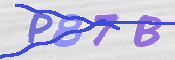 CAPTCHA 驗證圖片