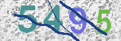 CAPTCHA 驗證圖片