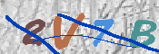 CAPTCHA 驗證圖片