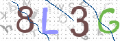 CAPTCHA 驗證圖片