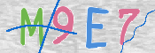 CAPTCHA 驗證圖片