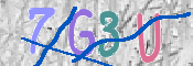 CAPTCHA 驗證圖片