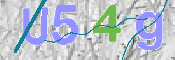 CAPTCHA 驗證圖片