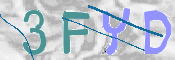 CAPTCHA 驗證圖片
