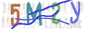 CAPTCHA 驗證圖片