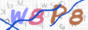 CAPTCHA 驗證圖片