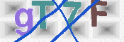 CAPTCHA 驗證圖片