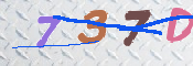 CAPTCHA 驗證圖片
