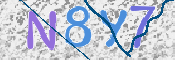 CAPTCHA 驗證圖片