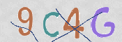 CAPTCHA 驗證圖片