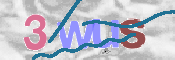 CAPTCHA 驗證圖片