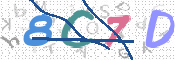 CAPTCHA 驗證圖片