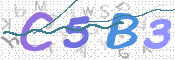 CAPTCHA 驗證圖片