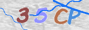 CAPTCHA 驗證圖片