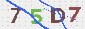 CAPTCHA 驗證圖片
