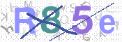 CAPTCHA 驗證圖片