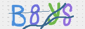 CAPTCHA 驗證圖片