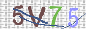 CAPTCHA 驗證圖片