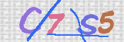 CAPTCHA 驗證圖片