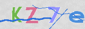 CAPTCHA 驗證圖片