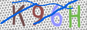 CAPTCHA 驗證圖片