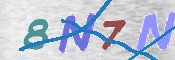 CAPTCHA 驗證圖片