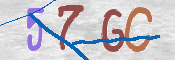 CAPTCHA 驗證圖片