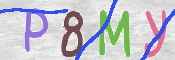CAPTCHA 驗證圖片