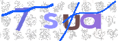 CAPTCHA 驗證圖片