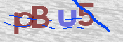 CAPTCHA 驗證圖片