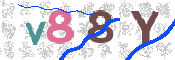 CAPTCHA 驗證圖片