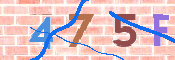 CAPTCHA 驗證圖片