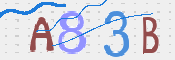 CAPTCHA 驗證圖片