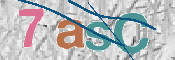 CAPTCHA 驗證圖片