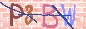 CAPTCHA 驗證圖片
