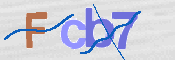 CAPTCHA 驗證圖片