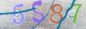 CAPTCHA 驗證圖片